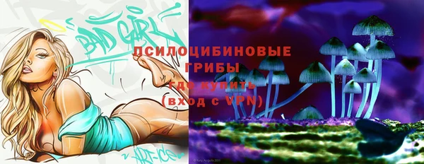 винт Богданович