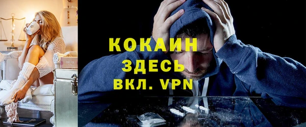дмт Богородицк